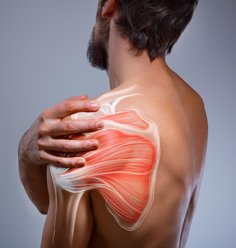 Understanding Shoulder Pain » Raffles Orthopaedic Centre, Singapore