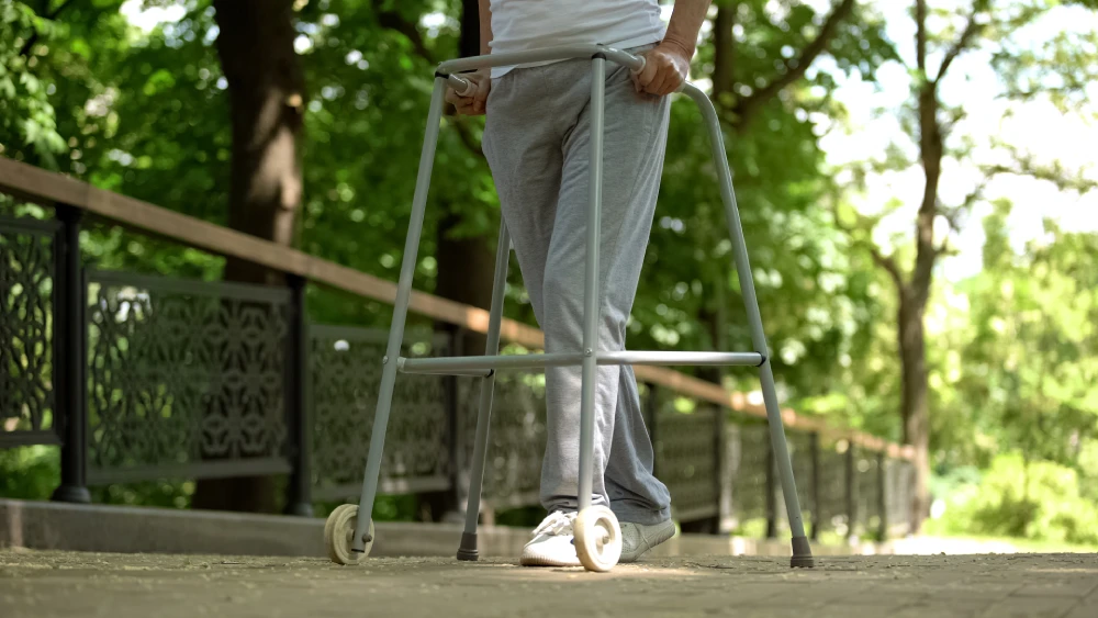Total knee replacement patient moving with help of walking frame in hospital park